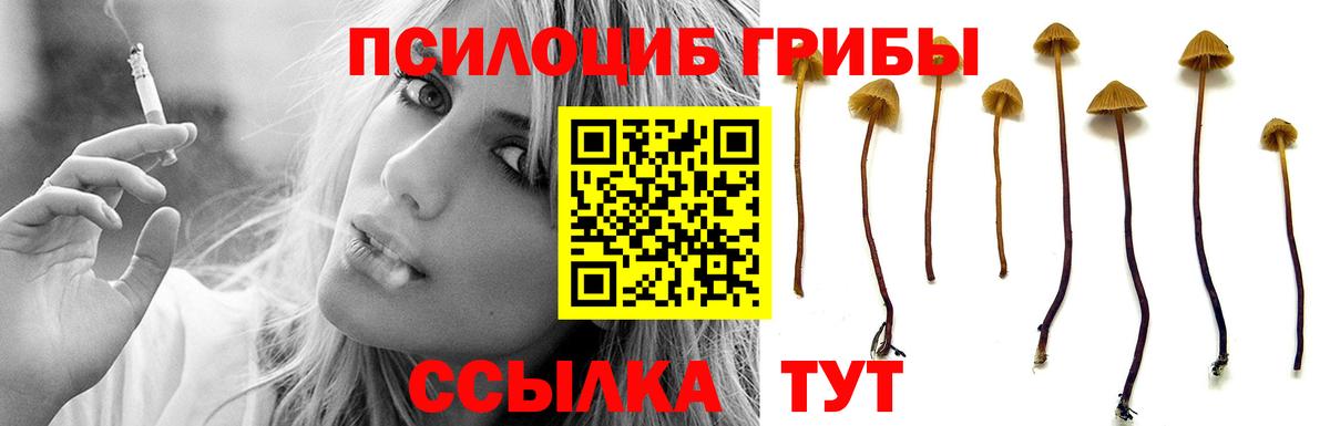 Галлюциногенные грибы MAGIC MUSHROOMS  Псилоцибиновые грибы Cubensis  Волгоград  Вход с VPN 